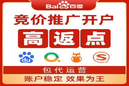 百度推广的成功案例：从零到一的突破